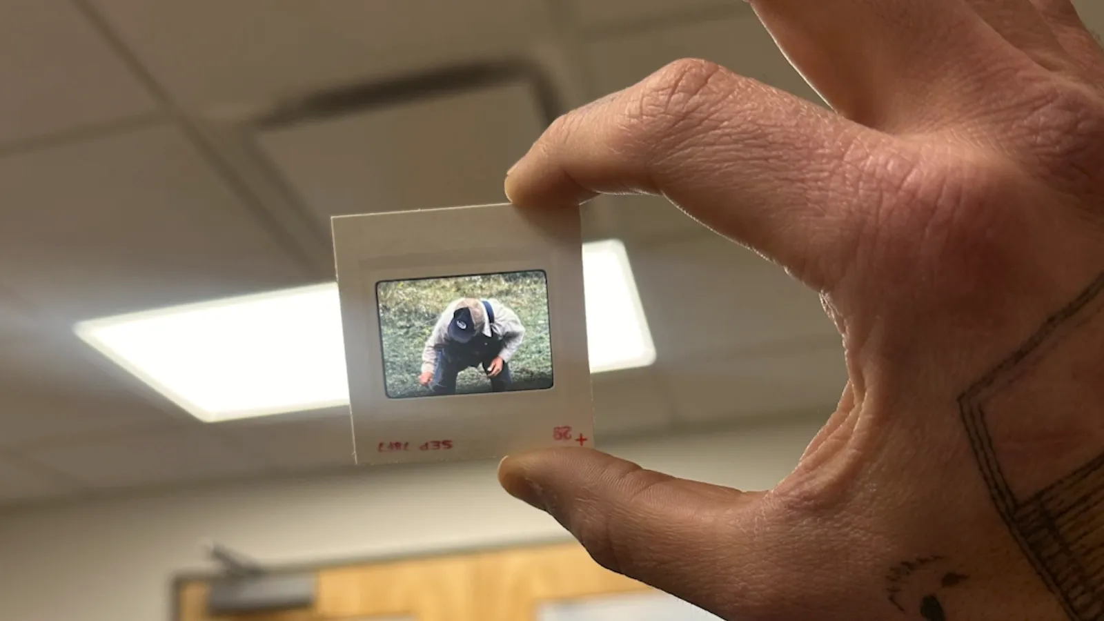 Student researcher holding slide against ceiling light