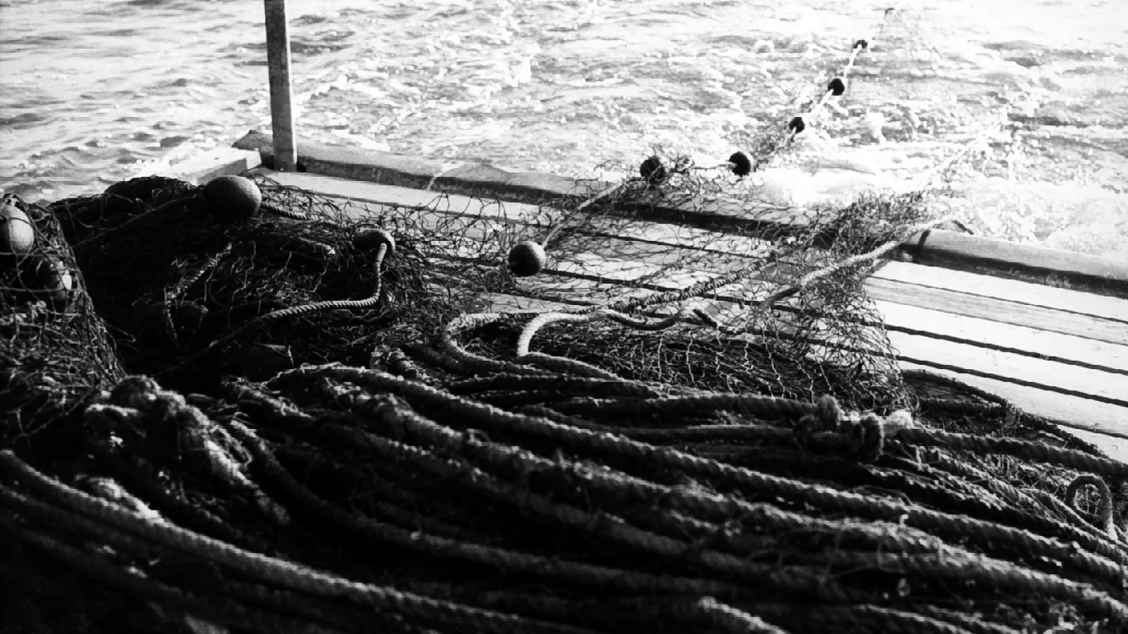 Seining: 84-01 PhN 01-15