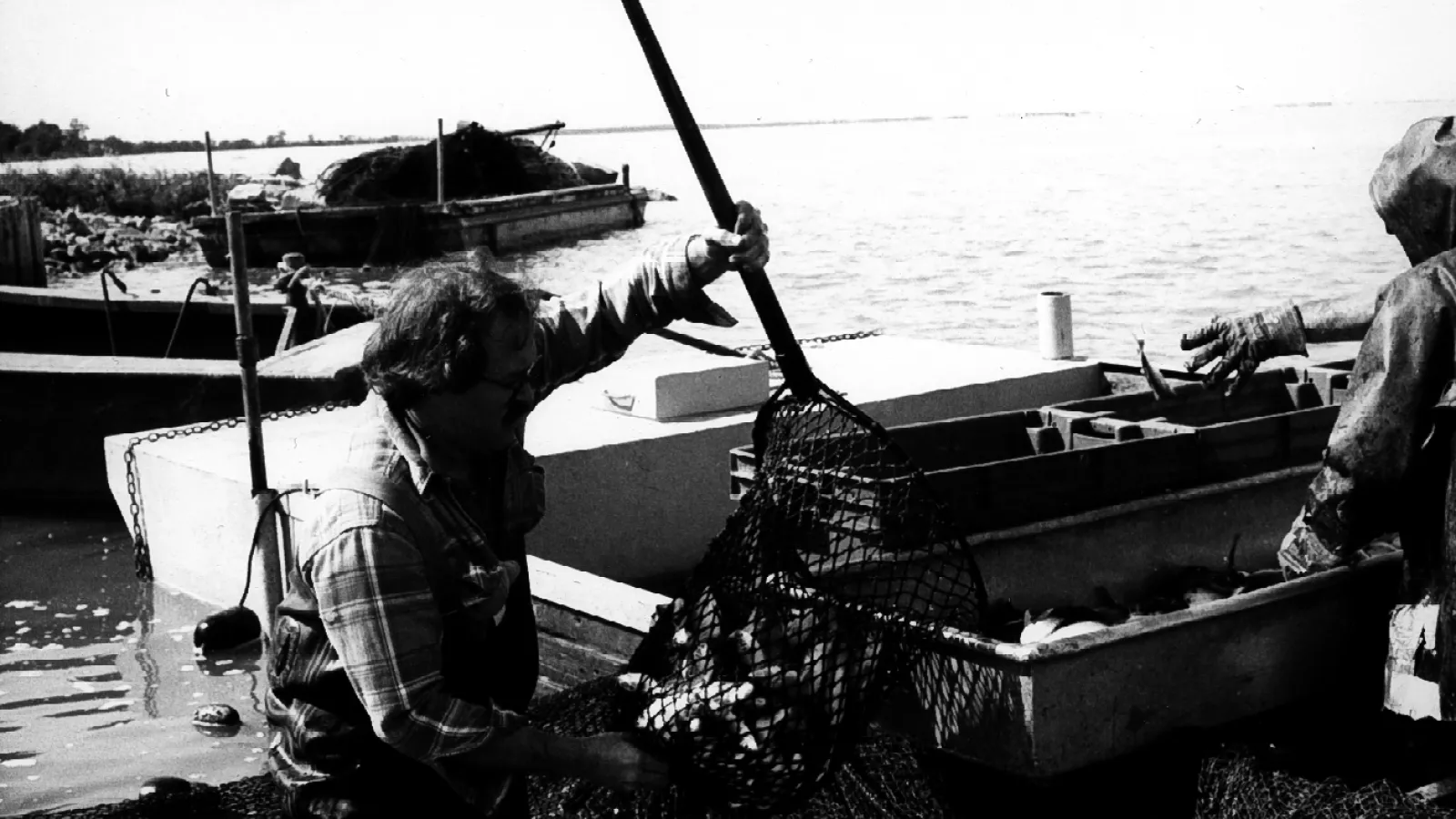 Seining: 84-01 PhN 03-16