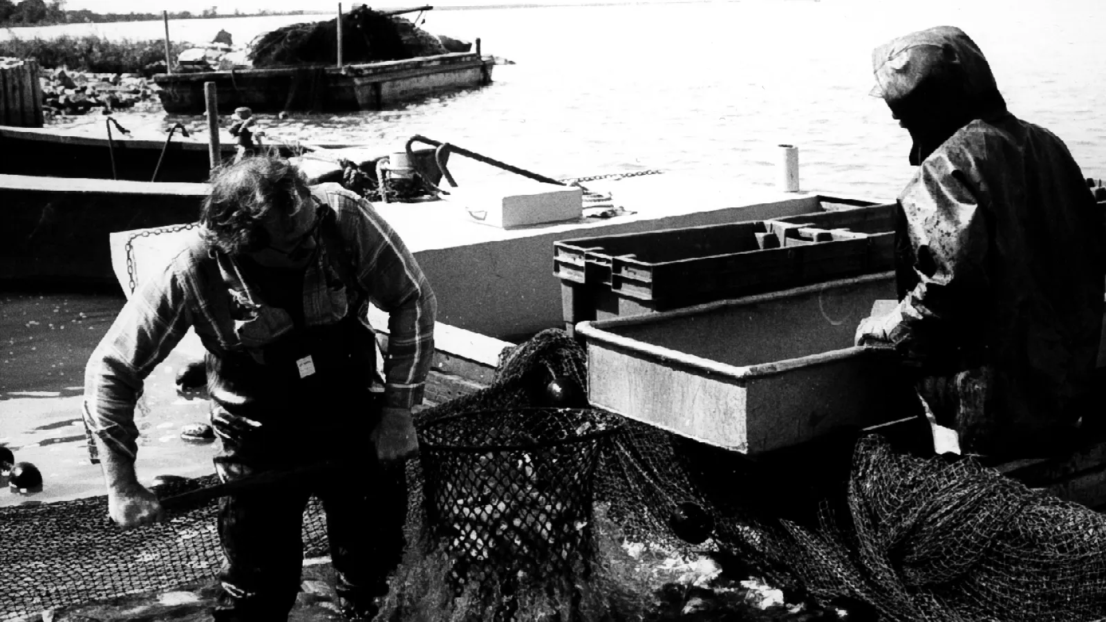 Seining: 84-01 PhN 03-17